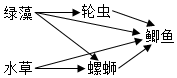 菁優(yōu)網(wǎng)