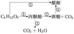 菁優(yōu)網