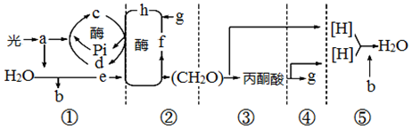 菁優(yōu)網(wǎng)