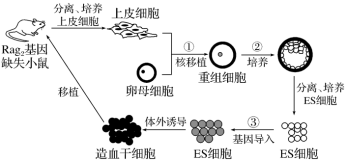 菁優(yōu)網