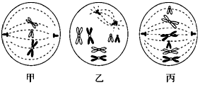 菁優(yōu)網