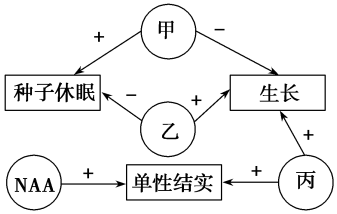 菁優(yōu)網