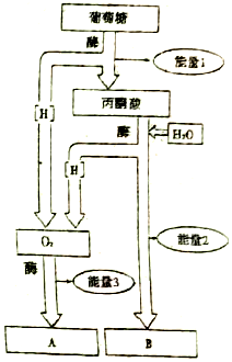 菁優(yōu)網(wǎng)