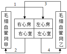 菁優(yōu)網(wǎng)