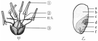 菁優(yōu)網(wǎng)