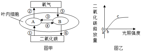 菁優(yōu)網(wǎng)