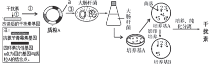 菁優(yōu)網