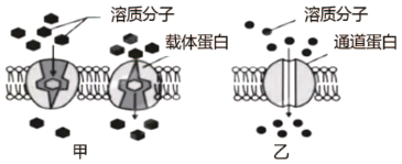 菁優(yōu)網