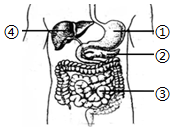 菁優(yōu)網(wǎng)