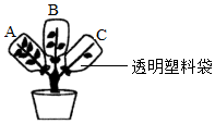 菁優(yōu)網(wǎng)