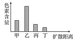 菁優(yōu)網