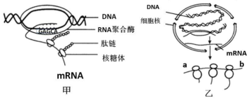 菁優(yōu)網