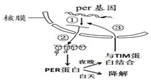 菁優(yōu)網