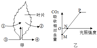 菁優(yōu)網(wǎng)