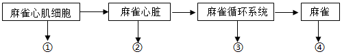 菁優(yōu)網(wǎng)