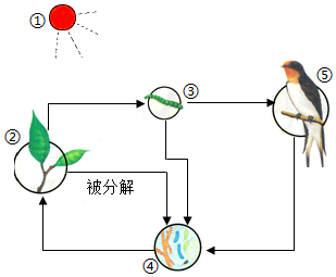 菁優(yōu)網