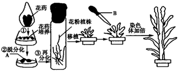 菁優(yōu)網