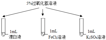 菁優(yōu)網