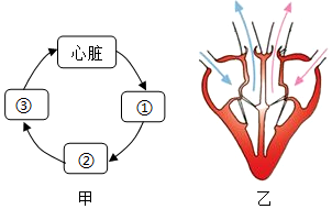 菁優(yōu)網(wǎng)