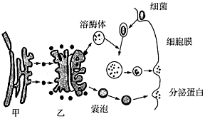 菁優(yōu)網(wǎng)