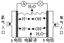 菁優(yōu)網