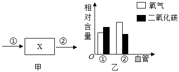 菁優(yōu)網(wǎng)