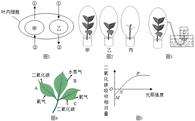 菁優(yōu)網(wǎng)