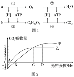 菁優(yōu)網(wǎng)