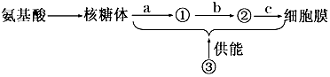 菁優(yōu)網(wǎng)