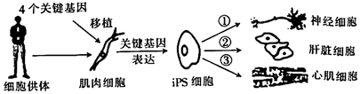 菁優(yōu)網(wǎng)