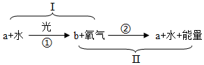 菁優(yōu)網(wǎng)