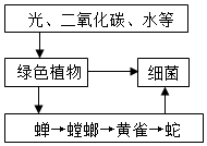 菁優(yōu)網