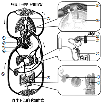 菁優(yōu)網(wǎng)