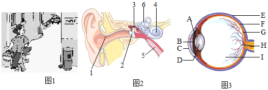 菁優(yōu)網