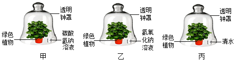 菁優(yōu)網(wǎng)