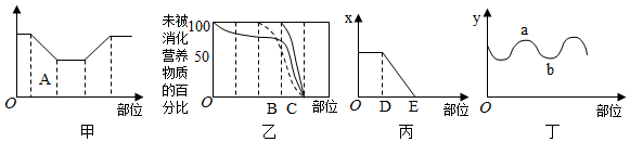 菁優(yōu)網(wǎng)