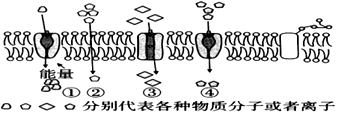 菁優(yōu)網(wǎng)