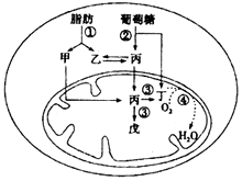 菁優(yōu)網(wǎng)