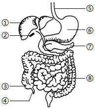 菁優(yōu)網(wǎng)