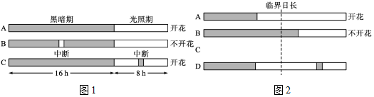 菁優(yōu)網