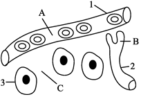 菁優(yōu)網(wǎng)