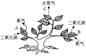 菁優(yōu)網(wǎng)