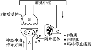 菁優(yōu)網(wǎng)