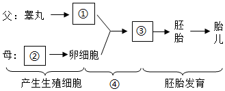 菁優(yōu)網