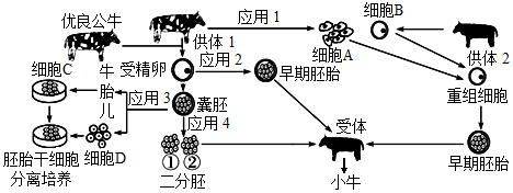 菁優(yōu)網