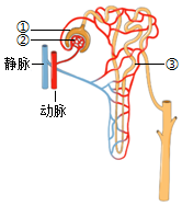 菁優(yōu)網