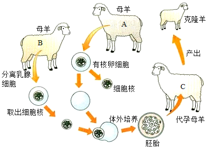 菁優(yōu)網