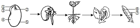 菁優(yōu)網