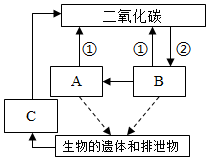 菁優(yōu)網(wǎng)