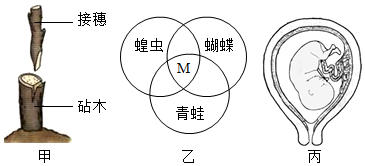 菁優(yōu)網(wǎng)